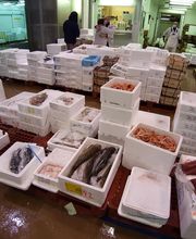 Aux Poissons d'Avril image 1