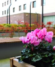 Residencia de Ancianos Sarriko, Vizcaya | VITALIA HOME imagen 1