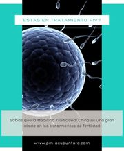 pm-acupuntura imagen 9