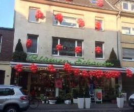 Schayen-Janssen Bild 1