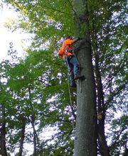 Joes Terra Vivida GmbH Bild 2