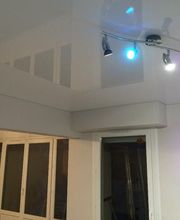 Robert Steve image 5