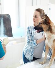 VET Zentrum Zürich Letzigrund | Notfall Tierarzt | 365 Tage | 07:00 - 23:00 Bild 1