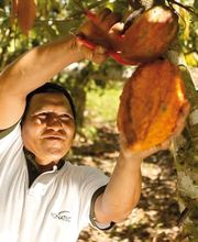 Maestrani Schweizer Schokoladen AG Bild 5