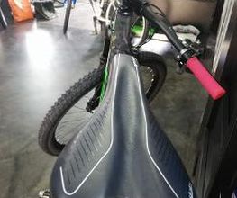Gofis Bici imagen 4