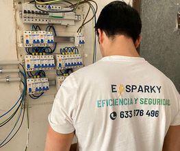 Elsparky imagen 1