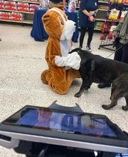 Petsense by Tractor Supply image 3