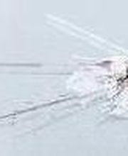 KS AUTOGLAS ZENTRUM Illertal Bild 2