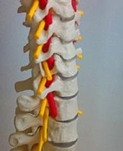 Physiotherapie Bielatal Bild 6