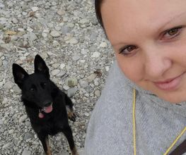 MEHR Hundeschule Bild 3
