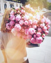 Fleuriot Manor Chavannes Bild 13