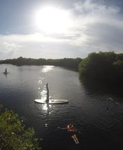 Flying Fish Tulum imagen 1