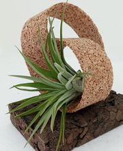 DecoArt Vinya i Mar imagen 2