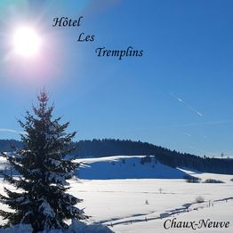 Hôtel Les Tremplins ***