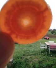 Charlot Chantal image 14