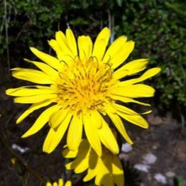 Seifenmanufaktur Glarus