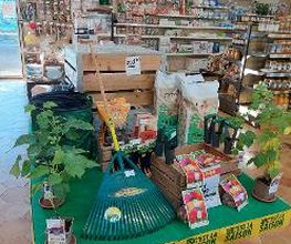GAMM VERT image 13