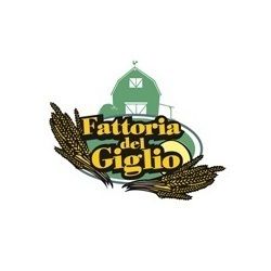 Fattoria del Giglio Macelleria logo