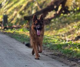 Domaine de Jules image 18