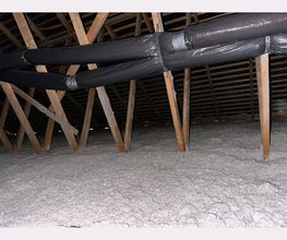 Actimur image 5