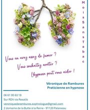 Véronique de Rambures image 1