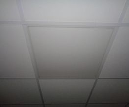 Neverlec image 12