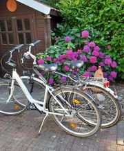 Ferienhaus Am Sielblick Ditzum Bild 13