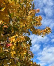 NaturPur Events - Outdoor Activities Bild 10