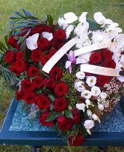 Flowers image 13