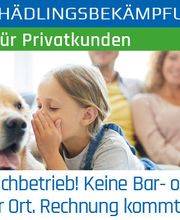 Klavier Zähringer Bild 5