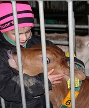 Ferme des Trontières Randogne Bild 11