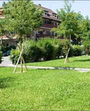 Atelier Vert SA Bild 3