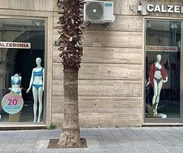 Calzedonia immagine 1