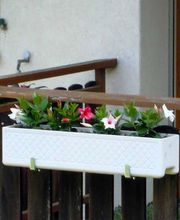 Gärtner Widmer Bild 6