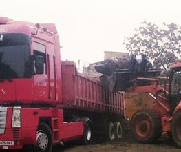 contenedores-valentin-barrientos-transporte-04.jpg