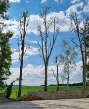 DFP Paysage image 18