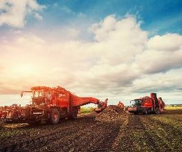 Transagro Agricultura imagen 5