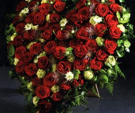 Blumen Nouvelle Fleur Bild 6