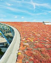 Haidl Spenglerei und Metallgestaltung Bild 7