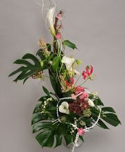 Gartencenter A-Z Velbert GmbH Bild 3