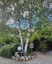 NaturImpuls Gesundheitspraxis Bild 5