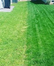 Turf Masters Lawn Care image 11