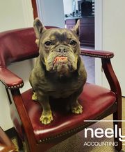 Neely's Accounting Services image 5