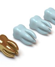 Dojcinovic Ivan Bild 4