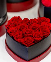 Gallery Professionale