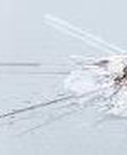 KS AUTOGLAS ZENTRUM Dillingen Bild 2