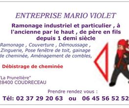 Violet Mario image 3