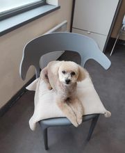 Tootsie image 8