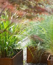 Kuster Gärten AG Bild 1