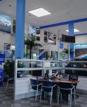 Scott Robinson Honda image 20